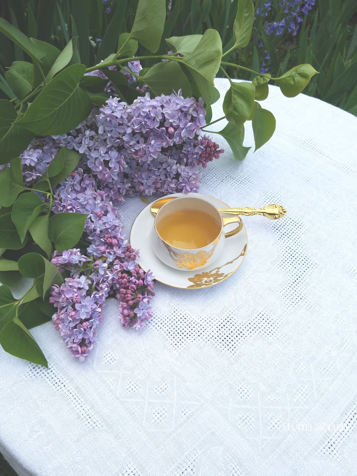 White and gold teacup with lilacs ~ top view