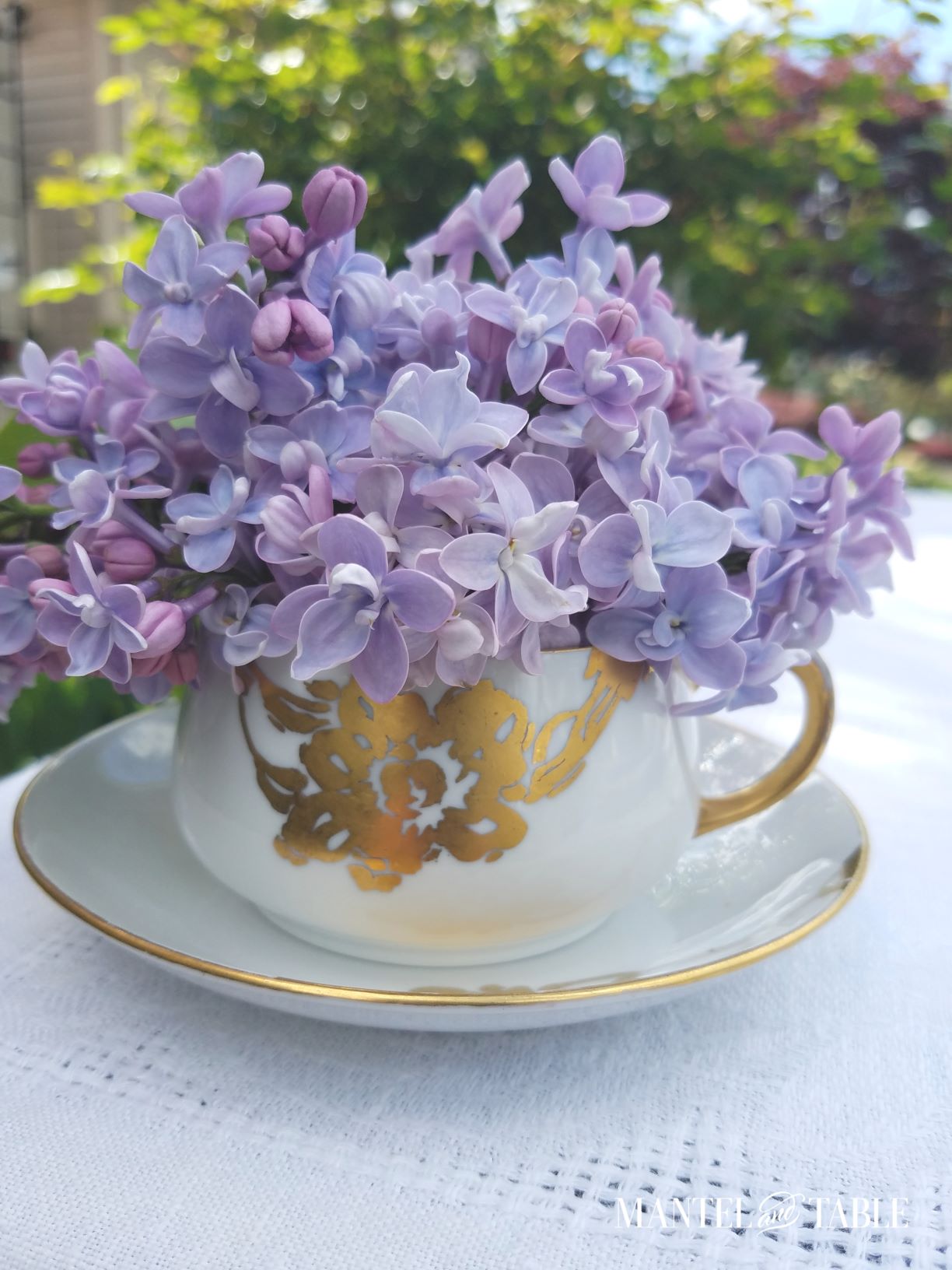 Bright spring tablescape ~ lilacs in a teacup