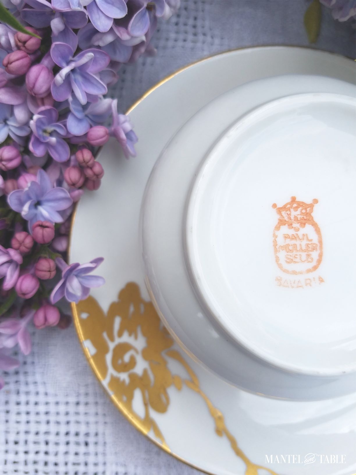 Paul Muller Selb Bavaria crown & shield mark on bottom of teacup
