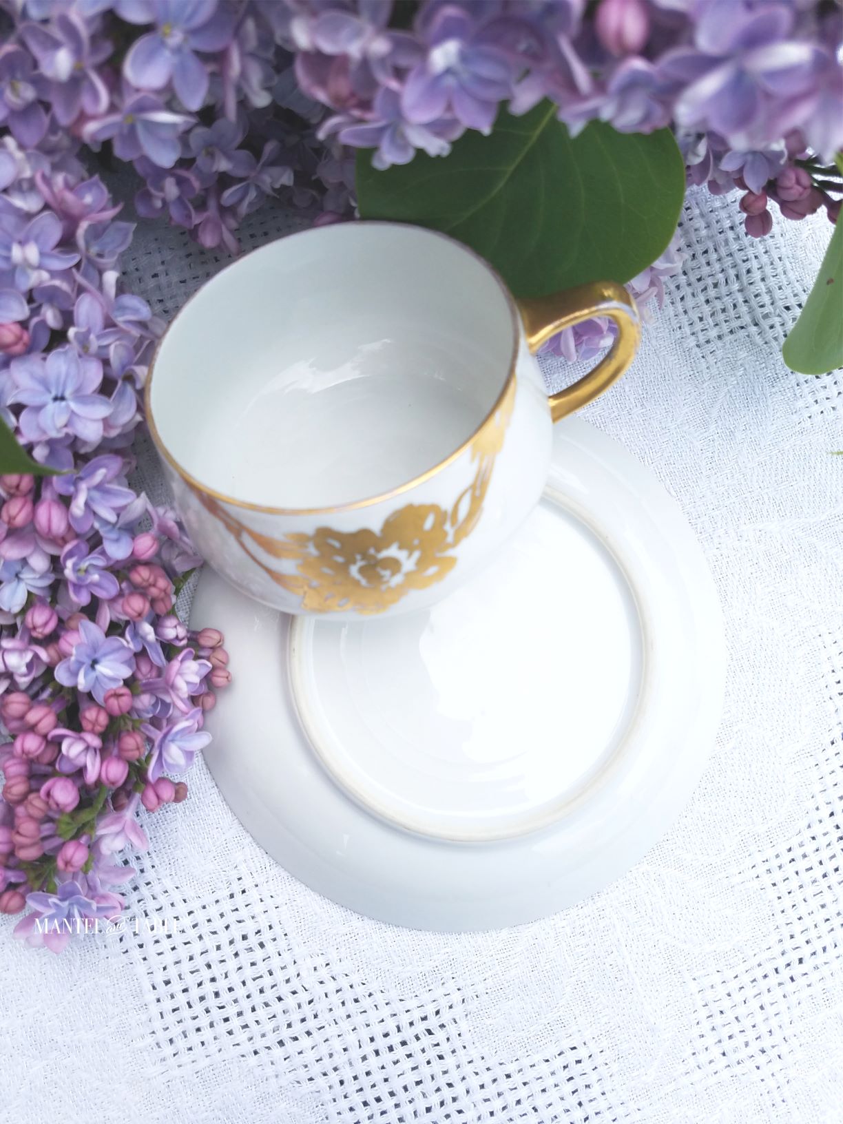 White and gold teacup with underside of saucer