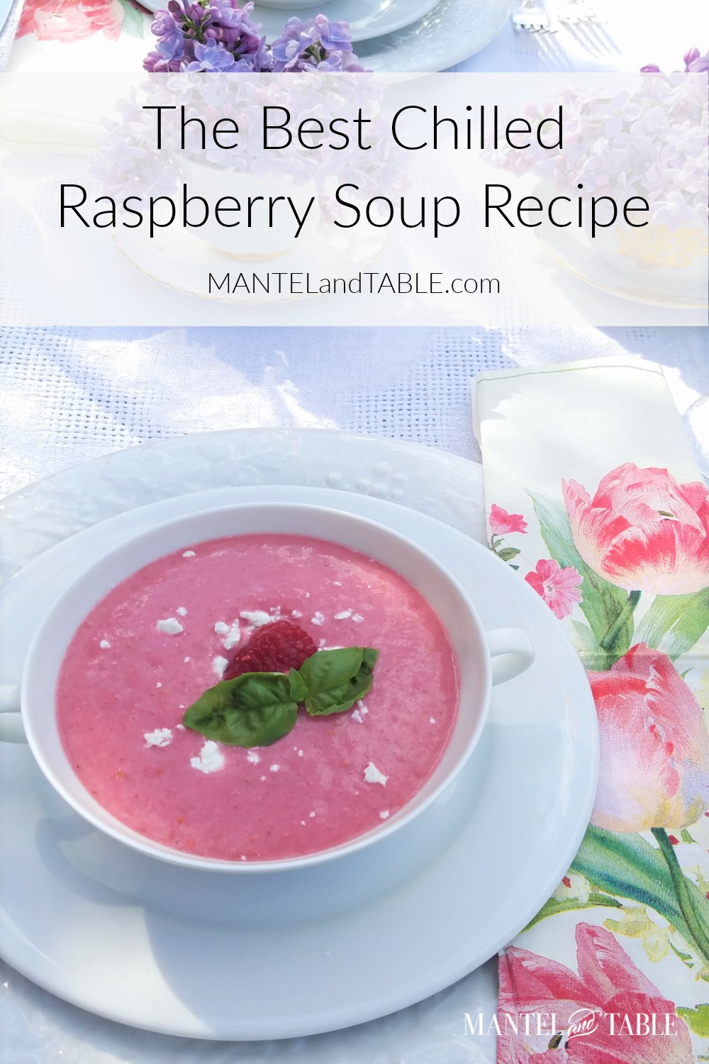 Chilled Raspberry Soup with Pinterest banner