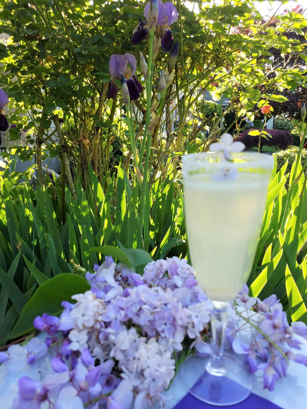 Lilac Gimlet on a table in the garden