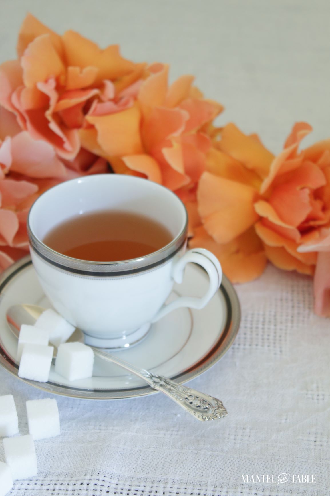 Teacup and saucer on table with sugar cubes