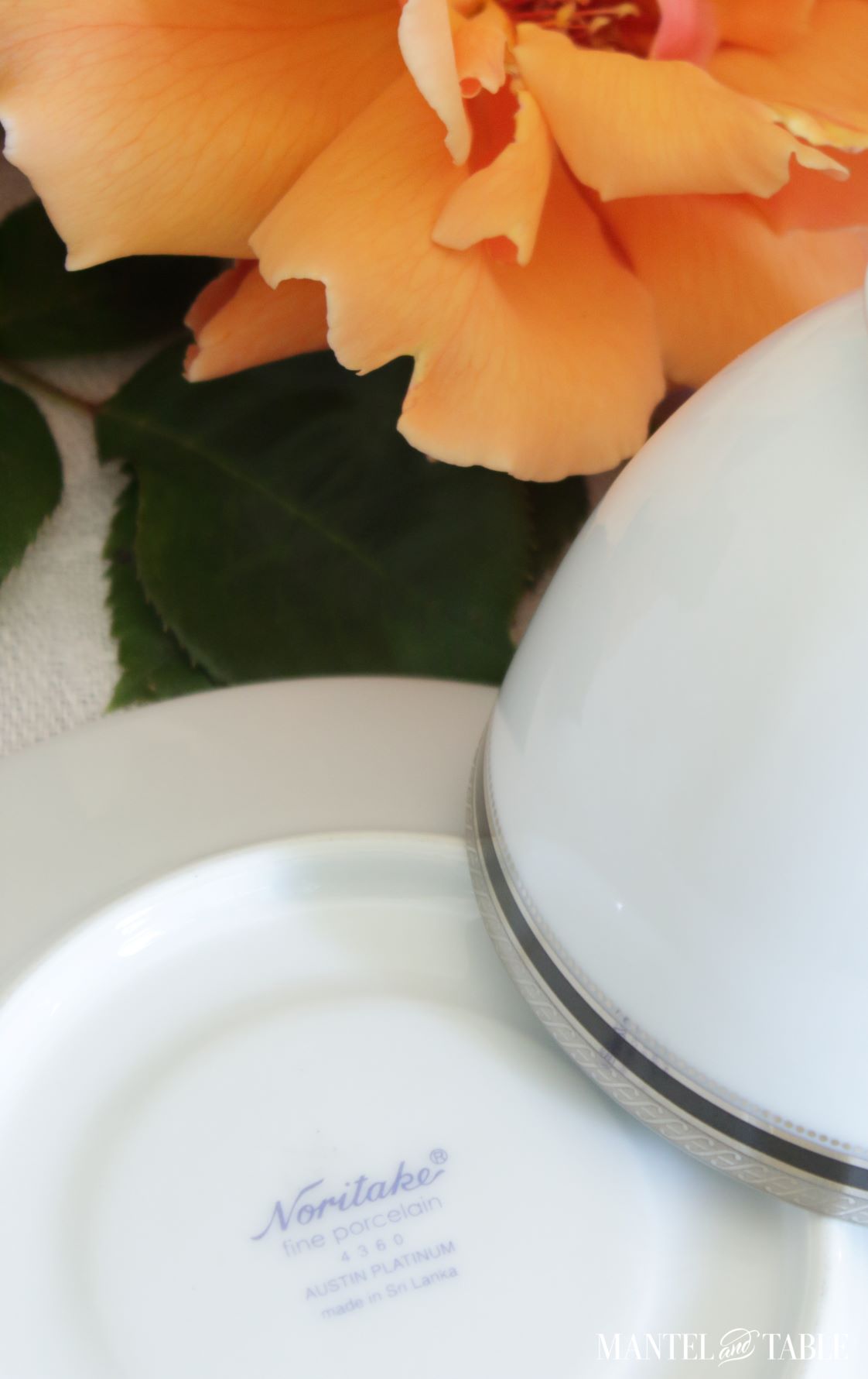 Noritake saucer backstamp