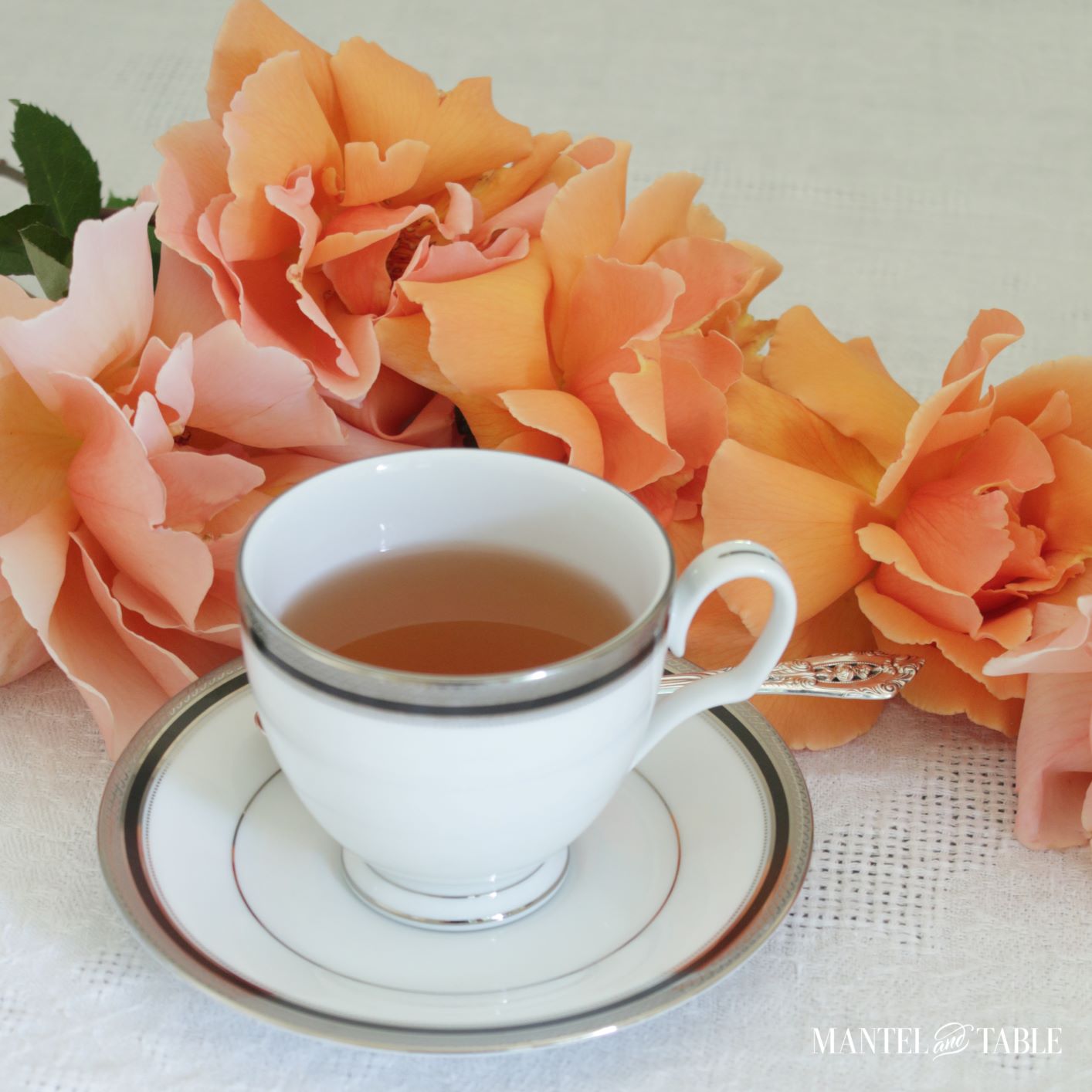 Teacup with tea and peach roses