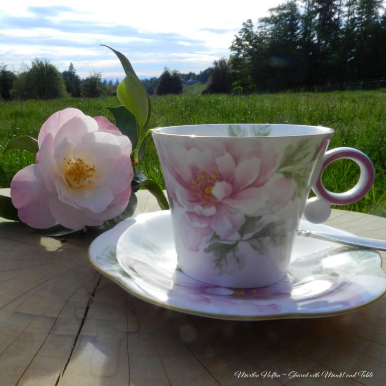 The Traveling Teacup Visits A Farm ~ Stop #1