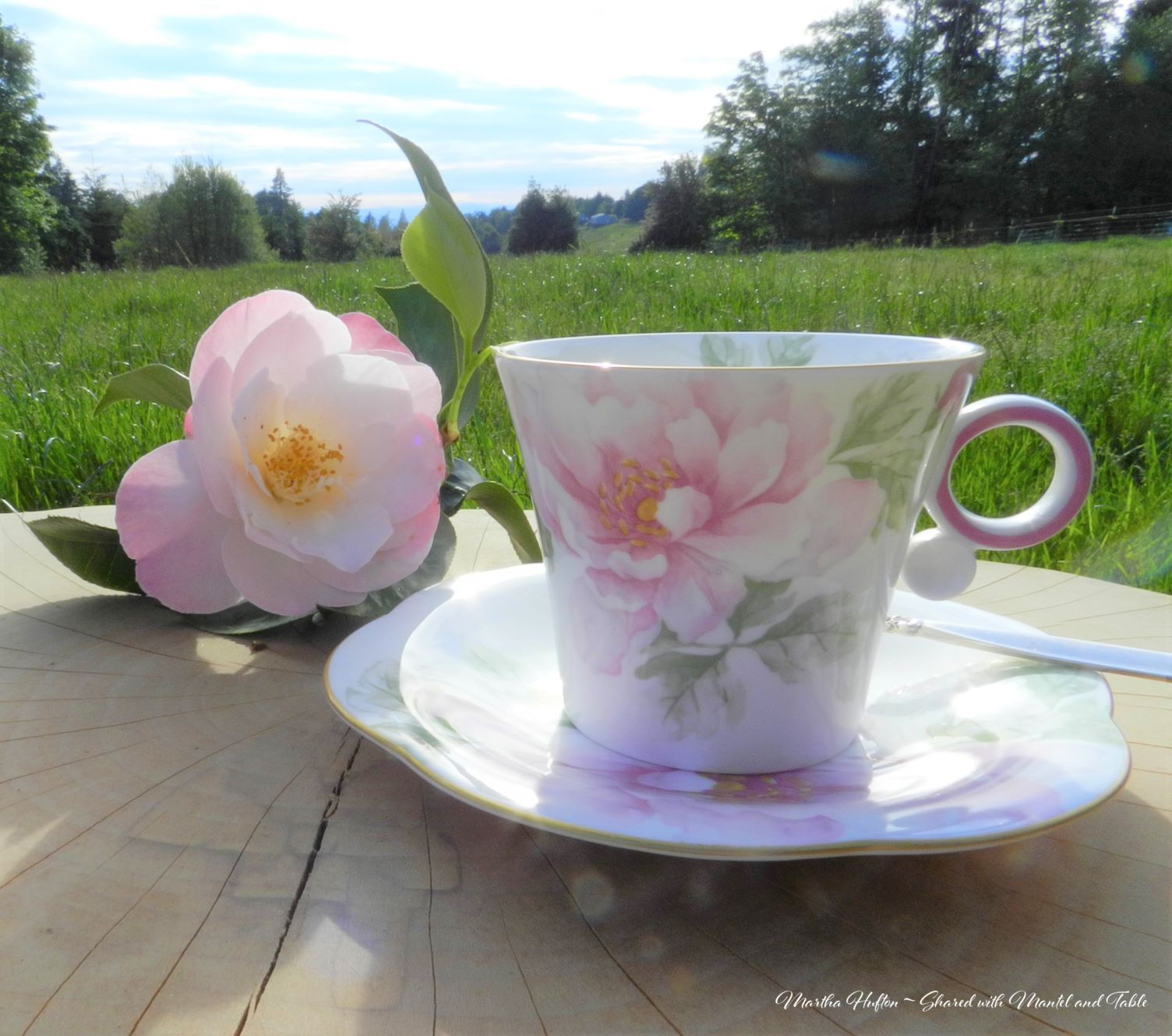 Green field with teacup close up and flower