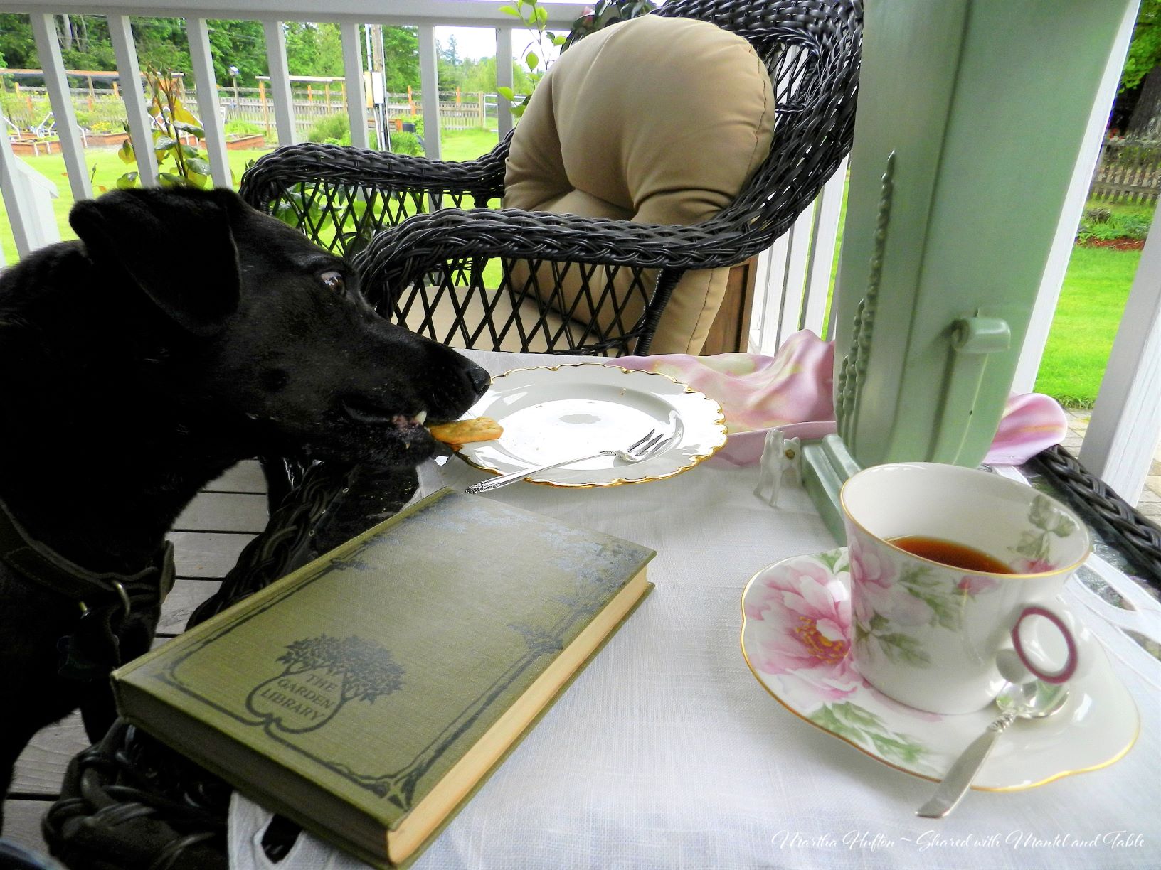 Dog stealing a cracker off a tea table