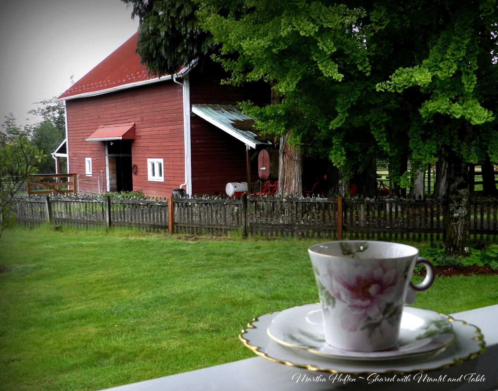 Teacup on a railing with red barn in the background