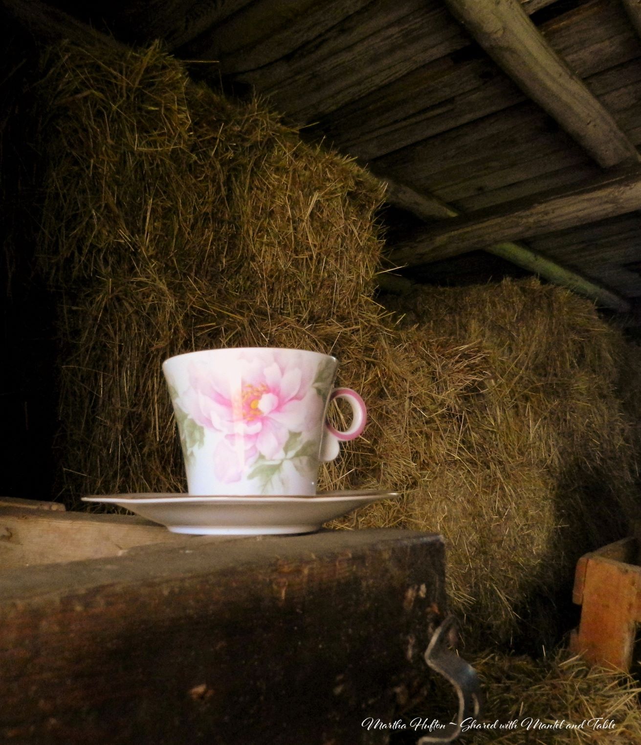 Pink flowered teacup in a hay barn