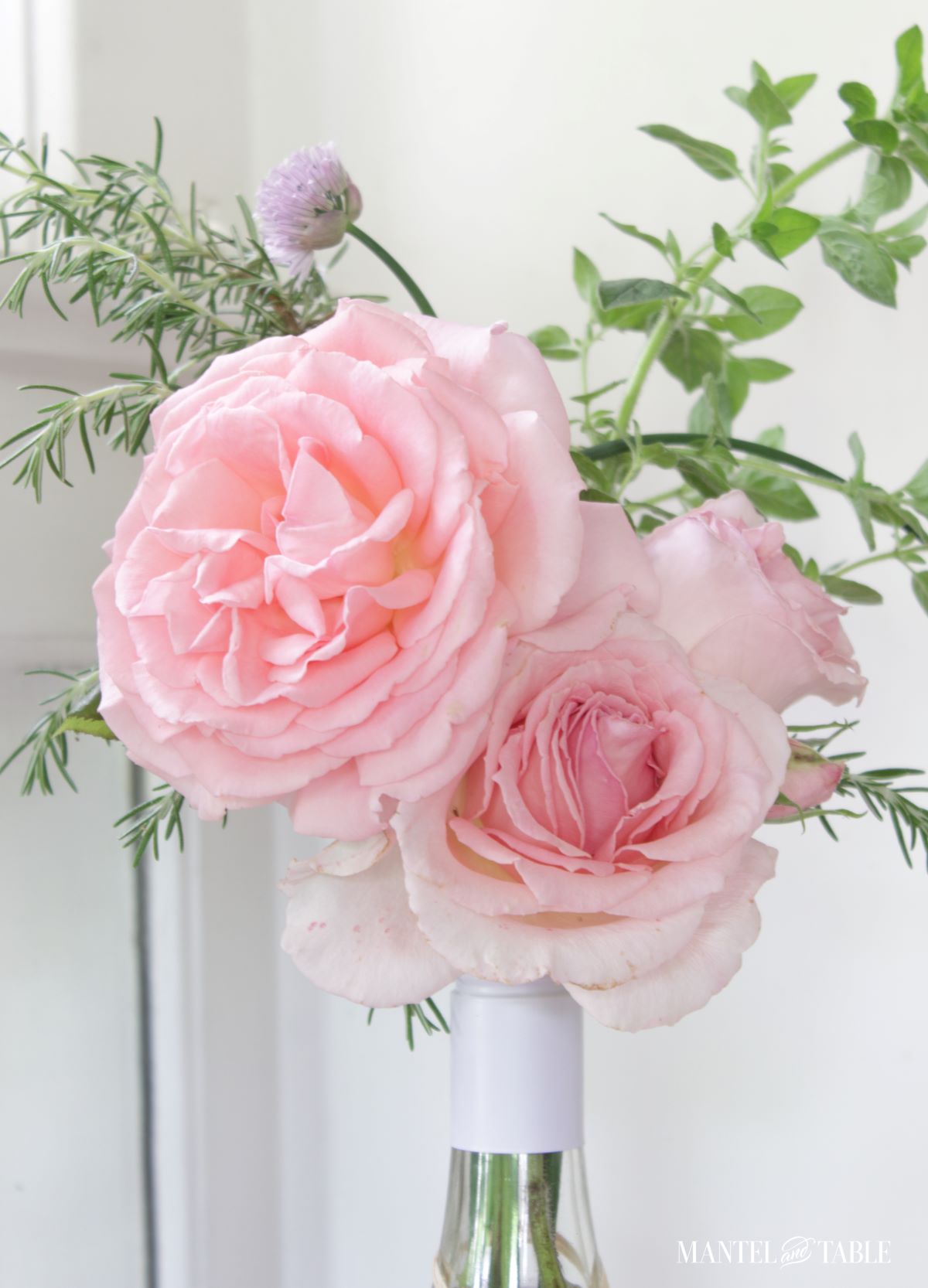 closeup of pink roses