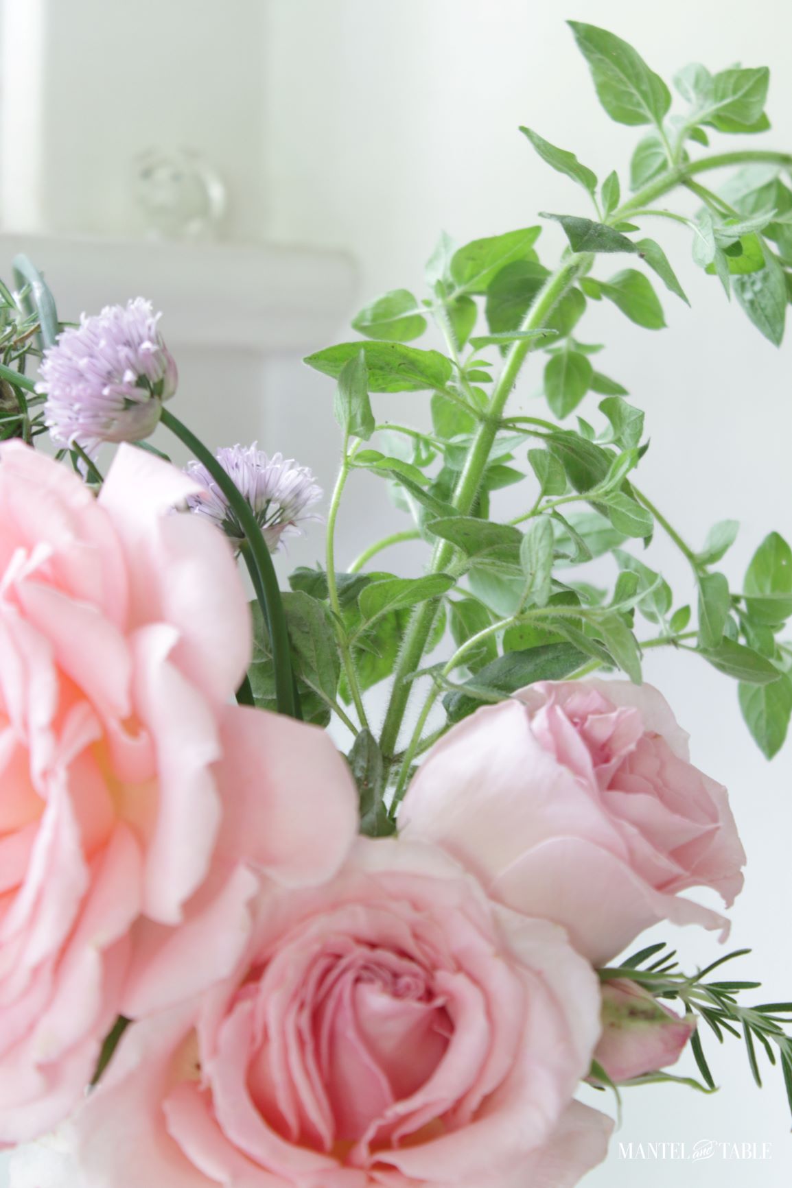 Closeup of roses and herbs