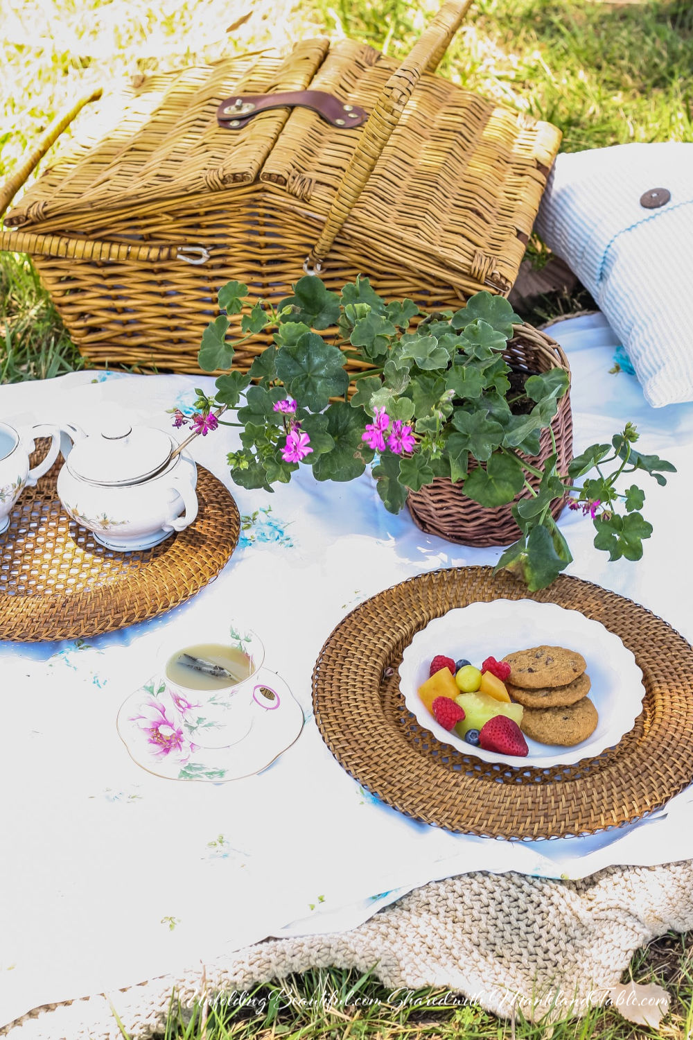 Closeup of picnic blanket