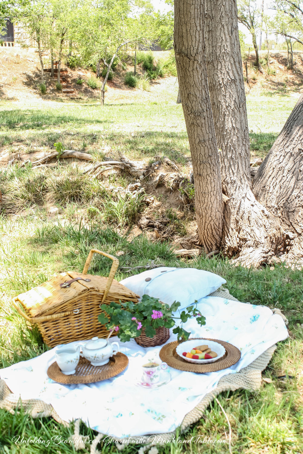 A Teatime picnic blanket under a tree by a creek