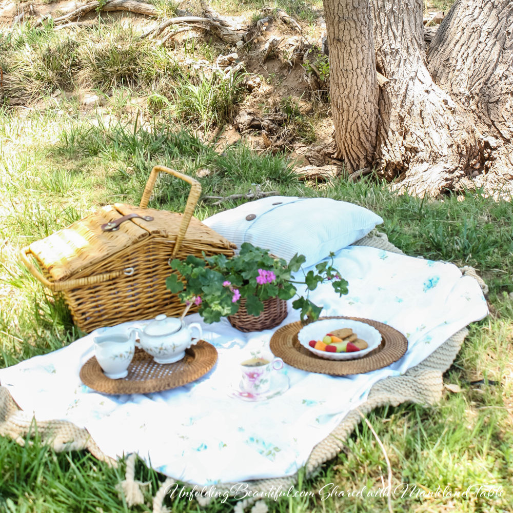 Small photo of a teatime picnic on the grass