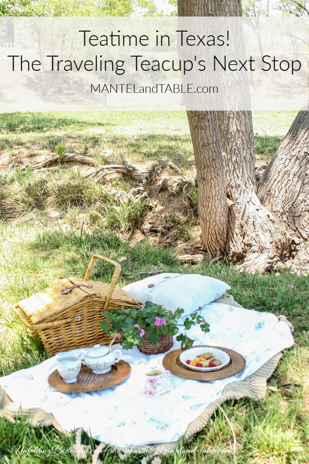 A teatime picnic on the grass photo with Pinterest banner