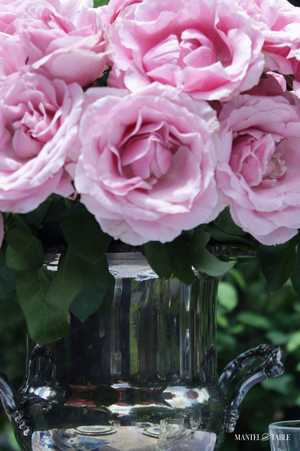 Silver bucket of pink roses