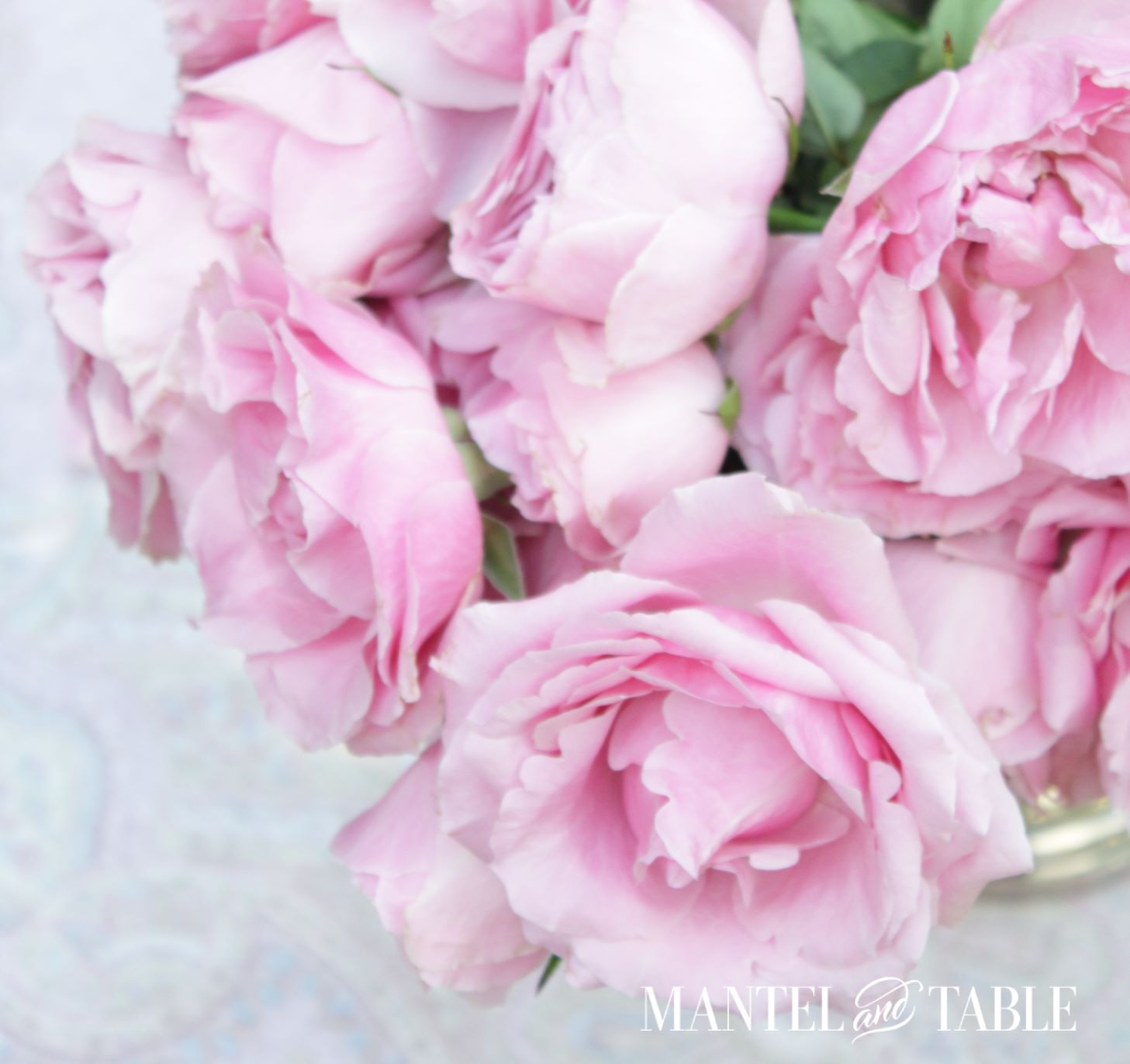 Beautiful pink rose arrangement, partial top down view