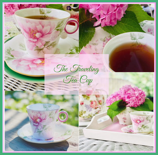 Traveling Teacup Montage