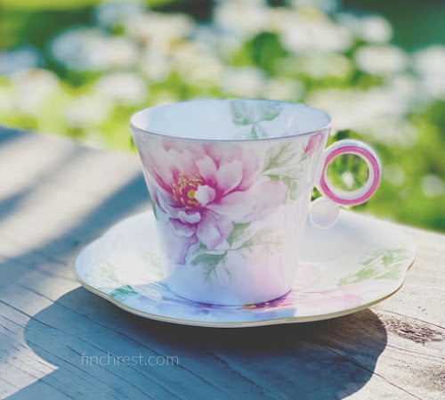 Teacup travels - floral teacup & saucer closeup with shadow