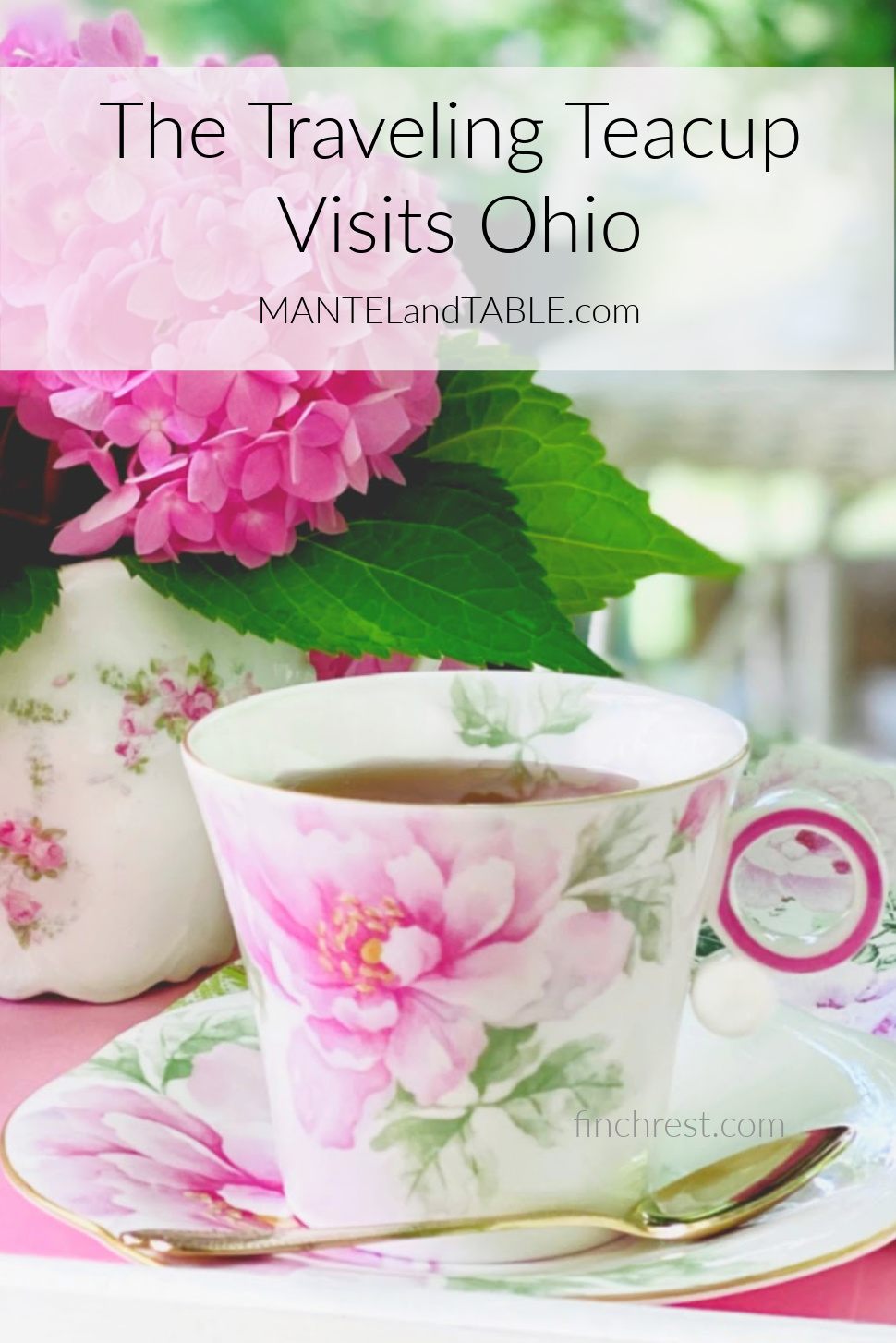 Teacup travels to Ohio Pinterest banner