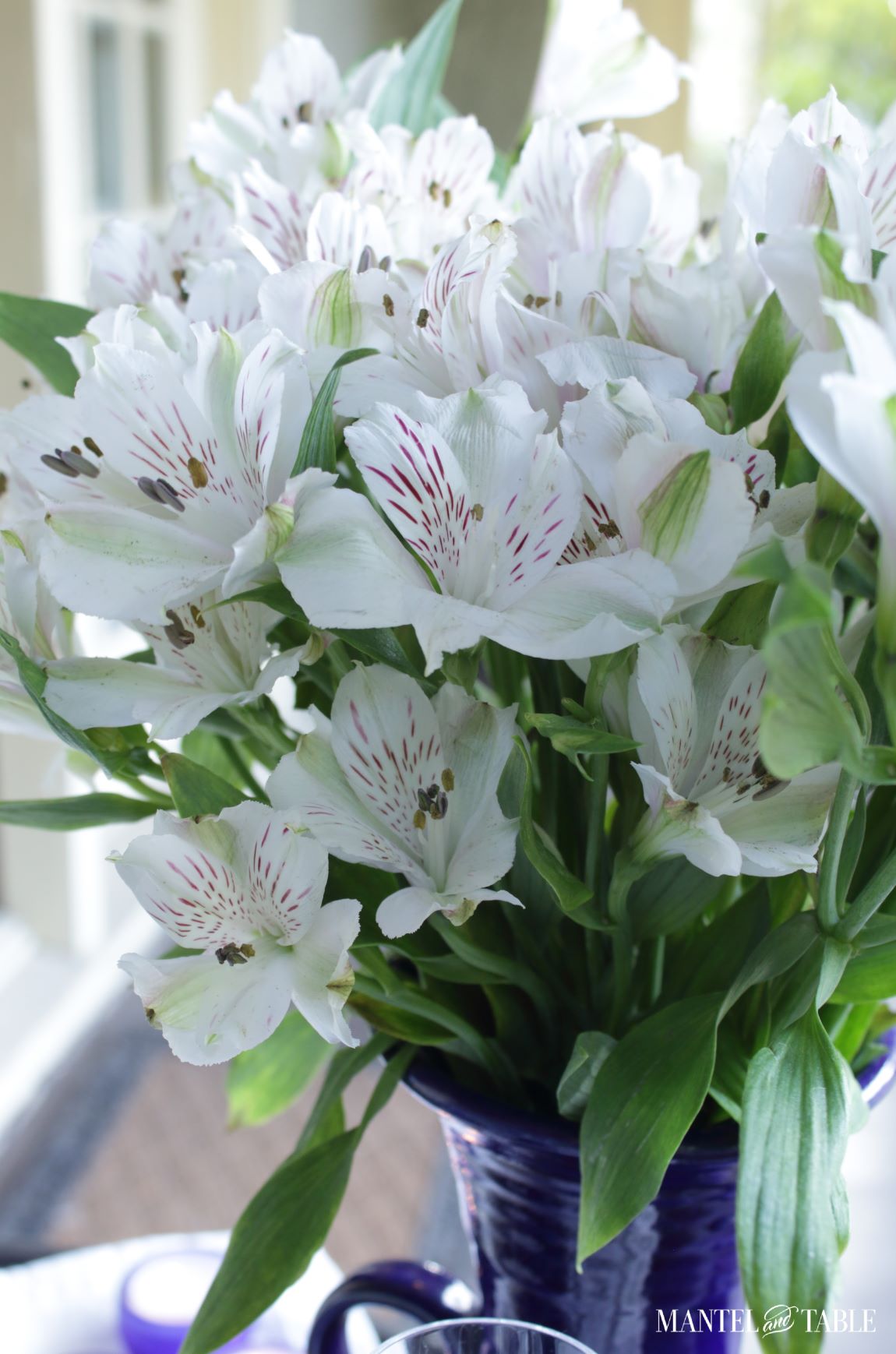 Close up of white flowers in a blue and white tablescape