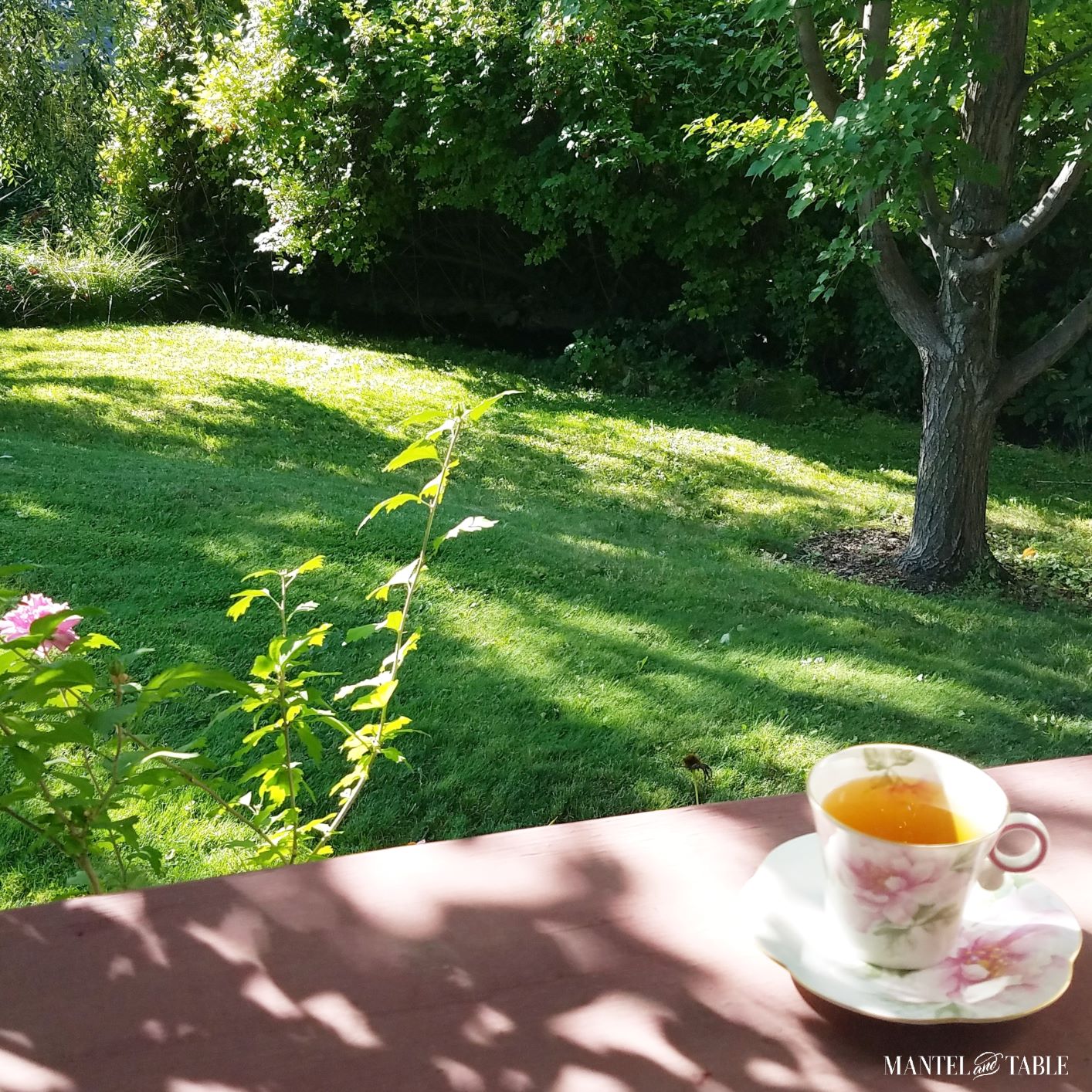 view of grassy slope and creek with pink flowered cup in front