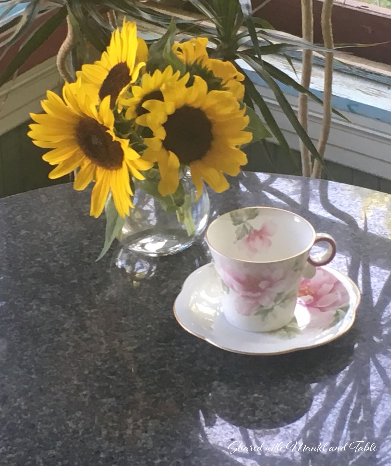 White and pink cup and saucer with clear glass vase of sunflowers