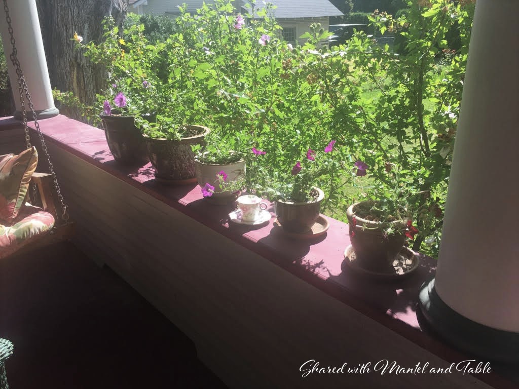 Row of potted flowers on a porch railing