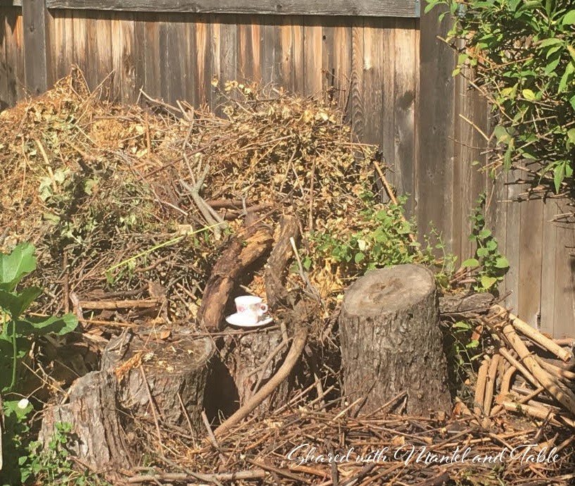 White and pink teacup in the wood pile scrap heap