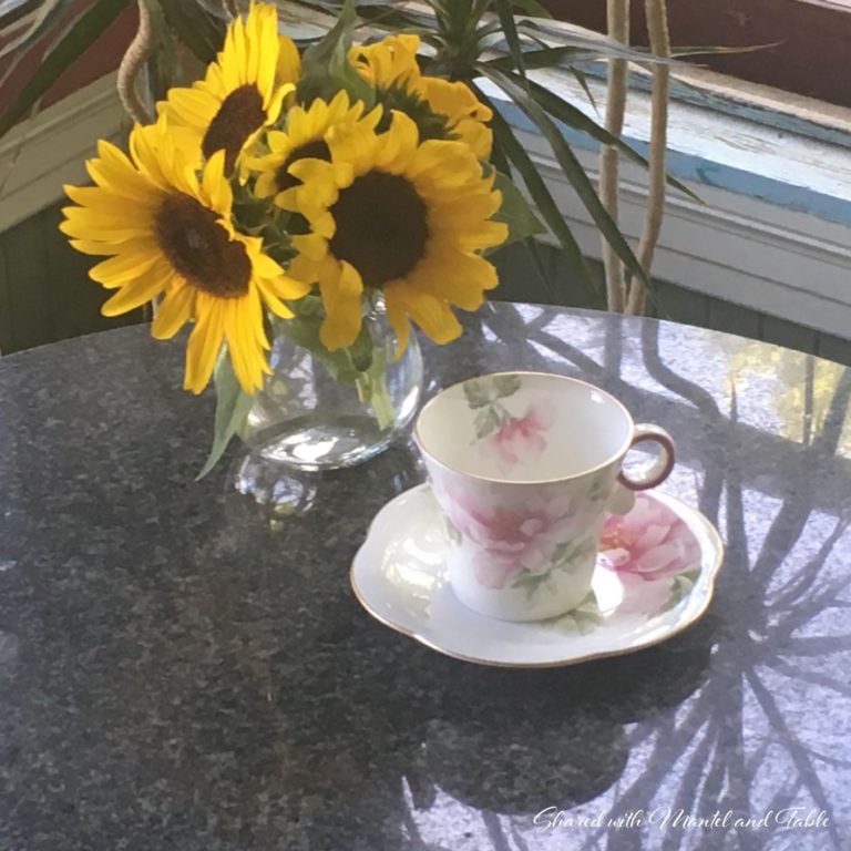 The Traveling Teacup Takes a Detour ~ Stop #9