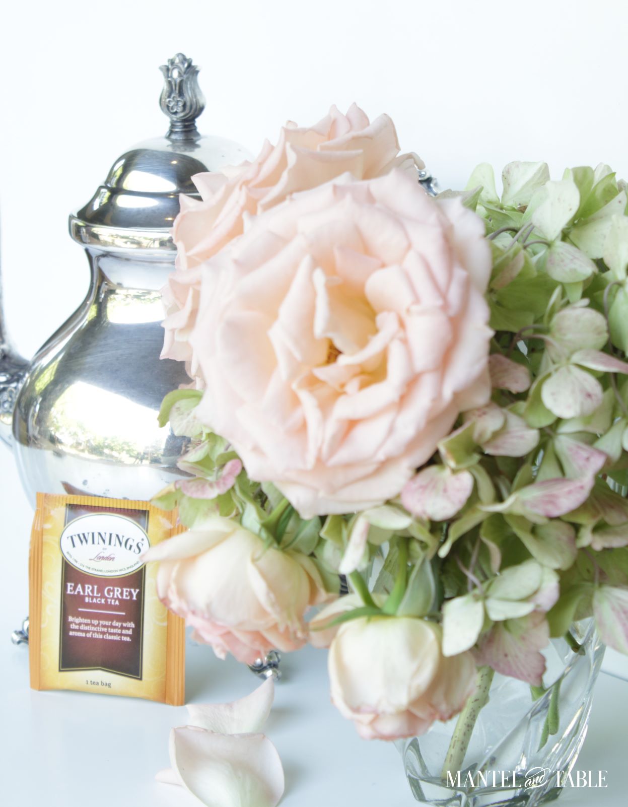 Silver teapot, Earl Grey tea bag, pink roses