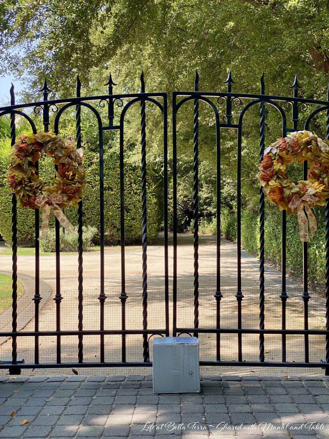 Black wrought iron gates of a historic estate with USPS delivery box