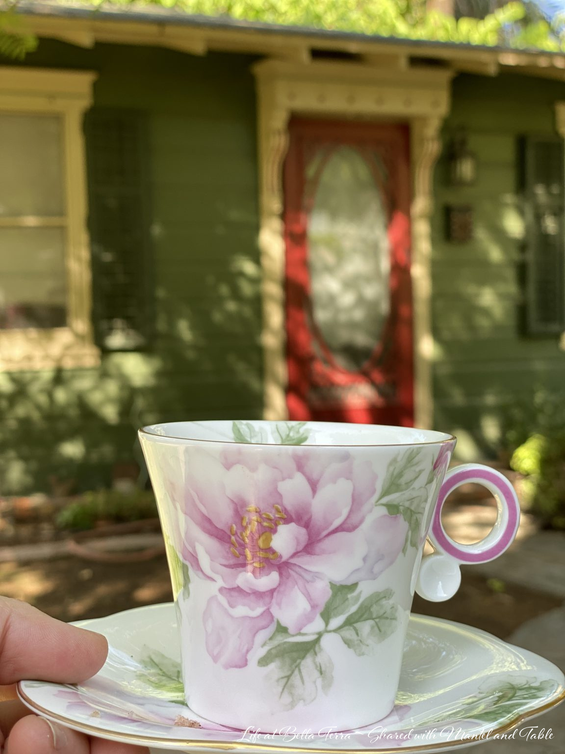 teacup in front of guest cottage on historic estate