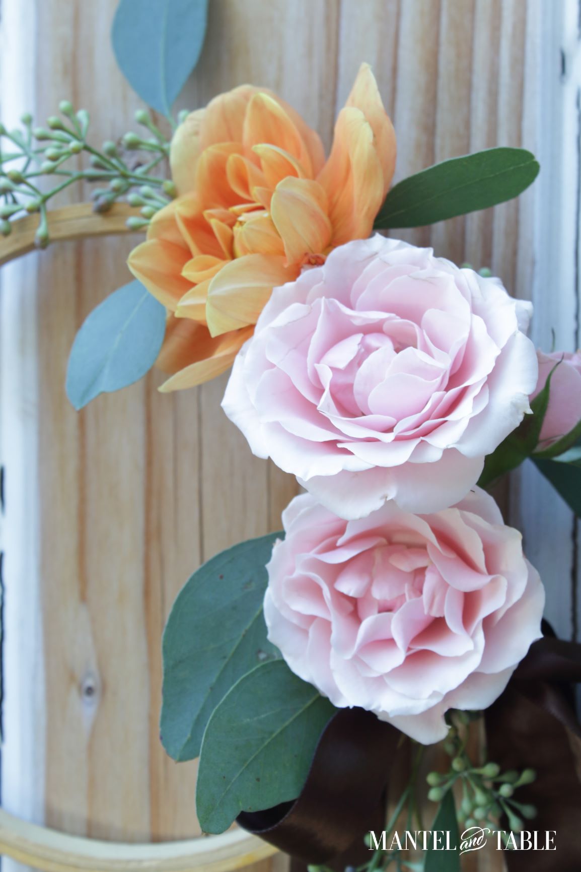 Closeup of pink roses