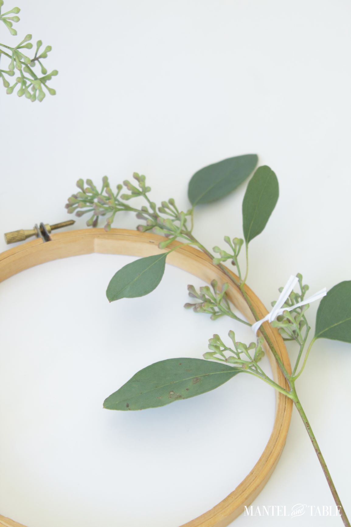 Fall Wreath DIY - hoop with seeded eucalyptus attached