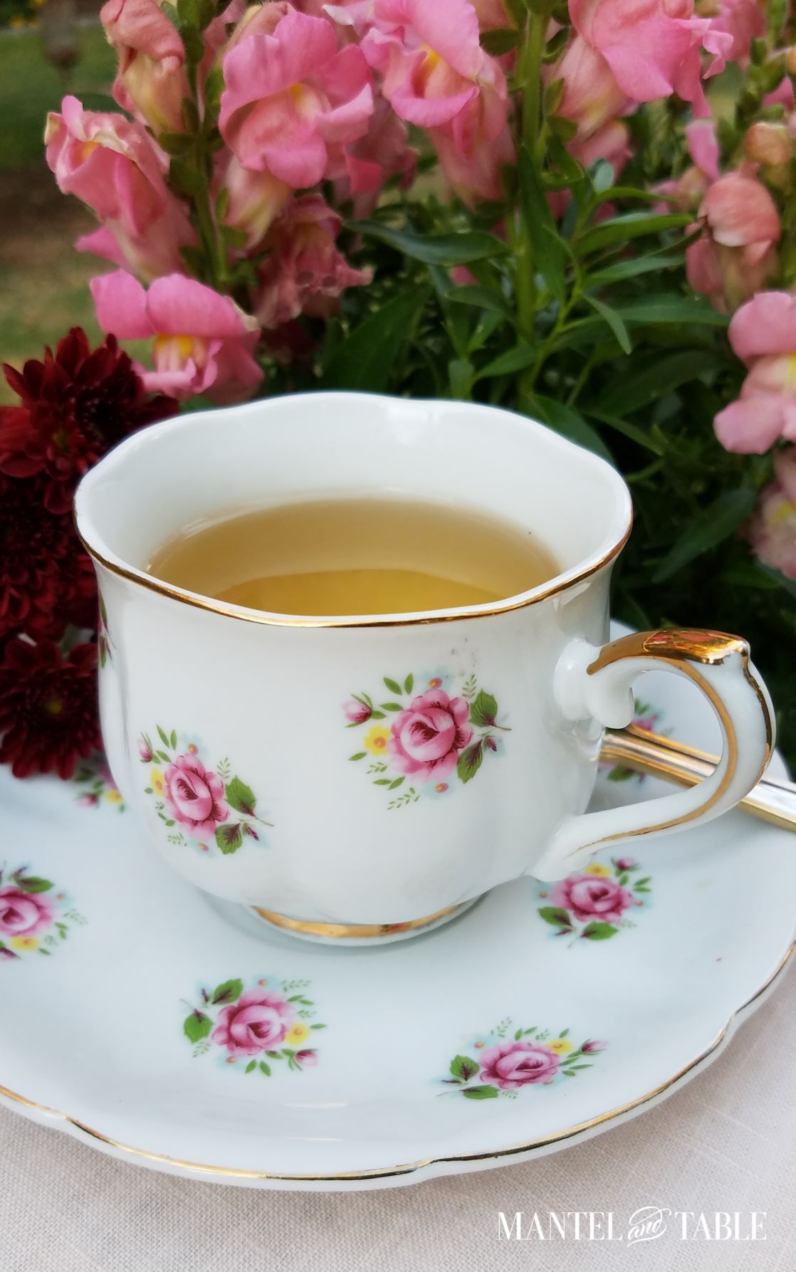 Closeup of pink rose teacup