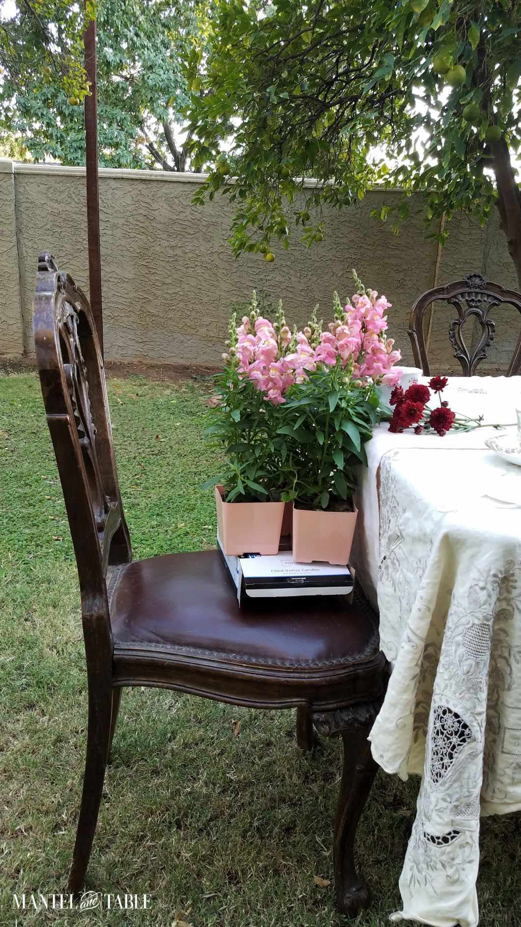 Full view of potted snapdragons on a dark chair at a table