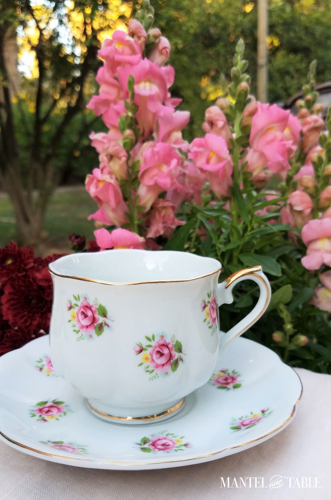 Beautiful teacup with pink roses