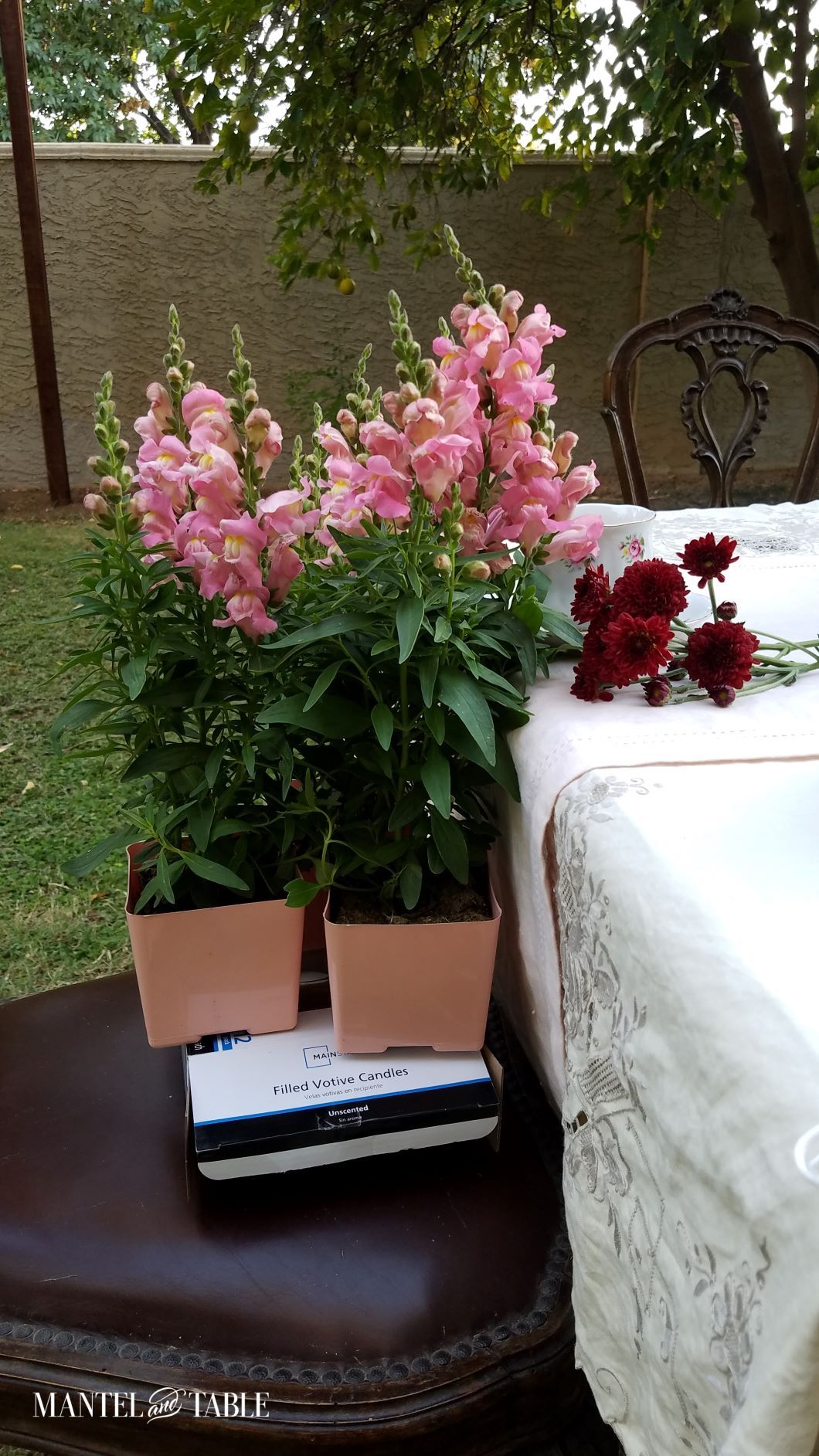 Closeup of potted flowers on a chair at the edge of the table