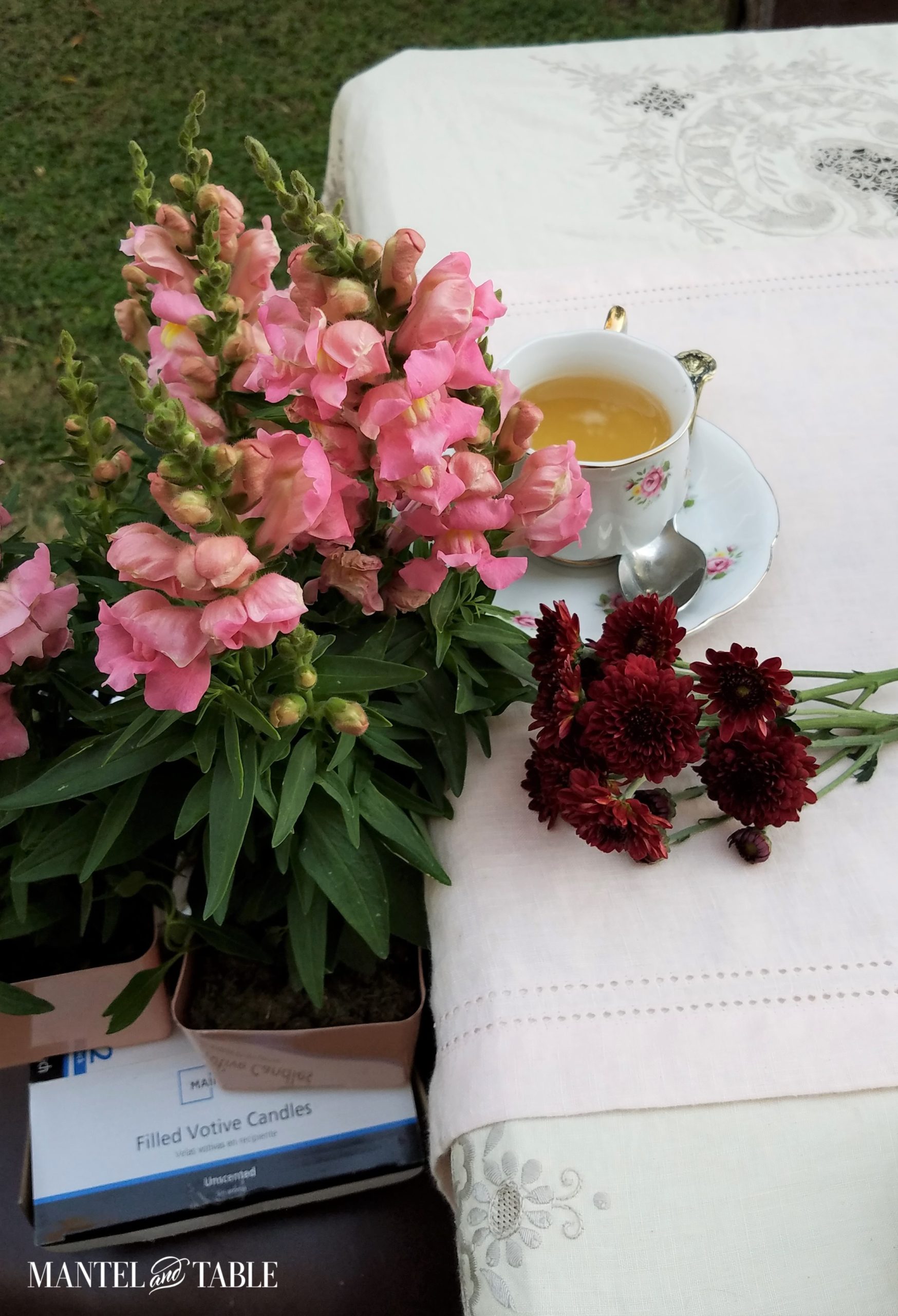 Top view of teacup with potted snapdragons on a chair