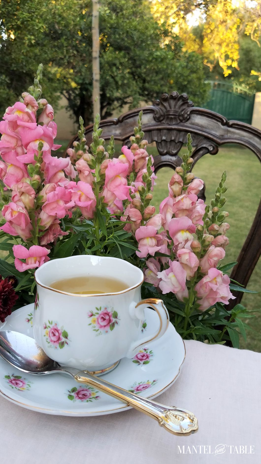 View of orchard with teacup in the foreground
