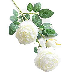 Click here to buy white faux peonies