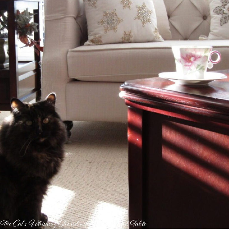 Canada! The Traveling Teacup Visits a Wonderful Calgary Doctor