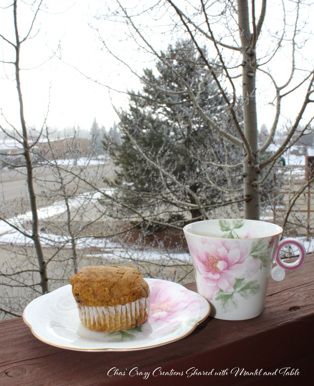 Teacup and muffin on porch ledge looking over frosty field and trees