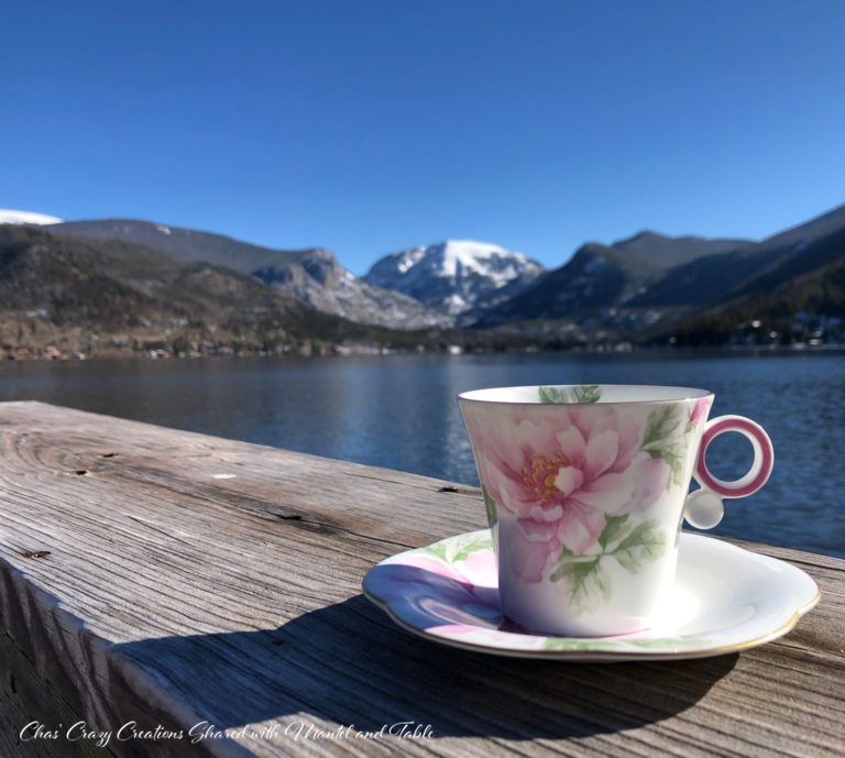 A Teacup Adventure in Beautiful Colorado