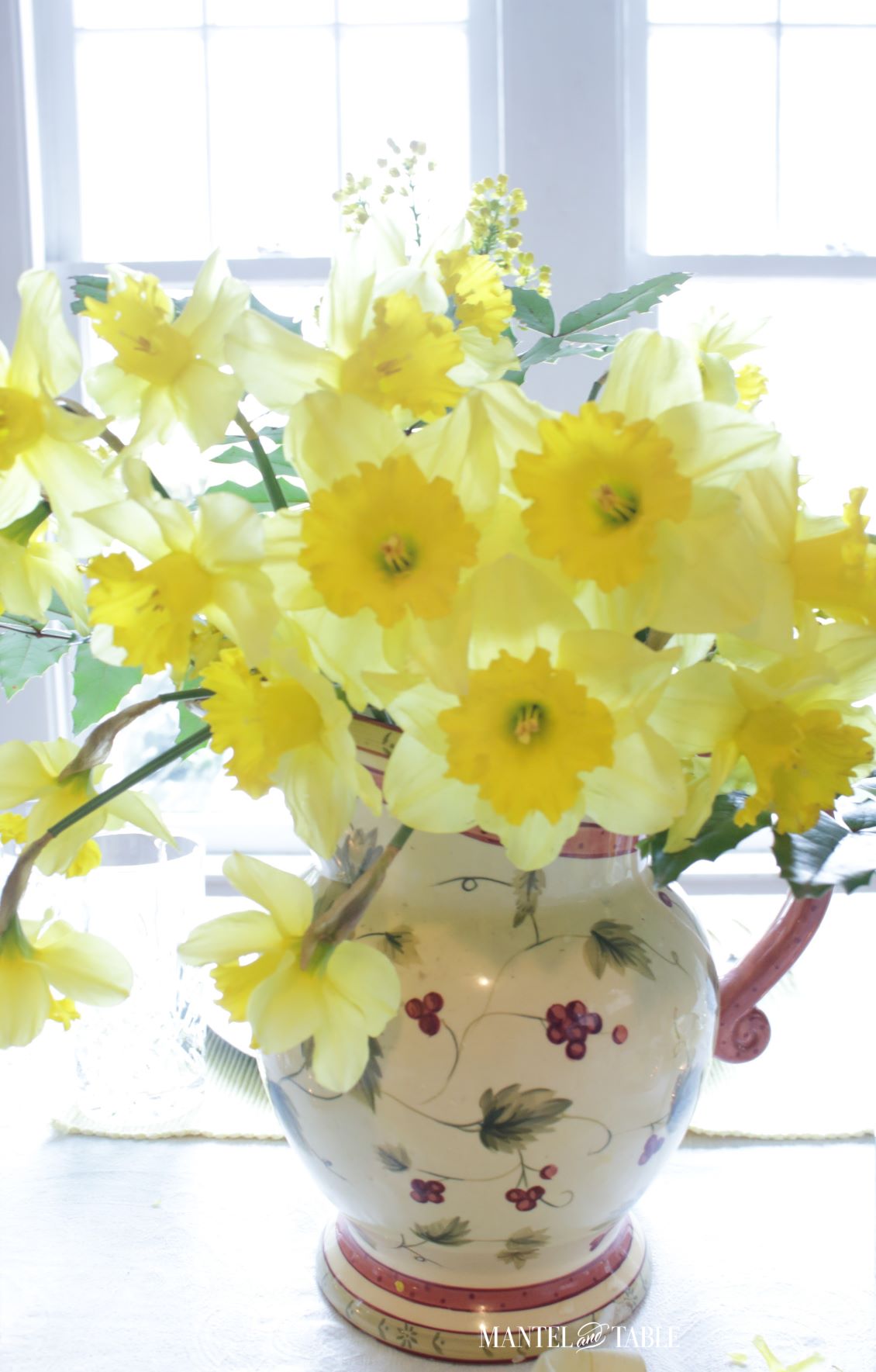 Daffodils and oregon grape in a tan and pink pitcher