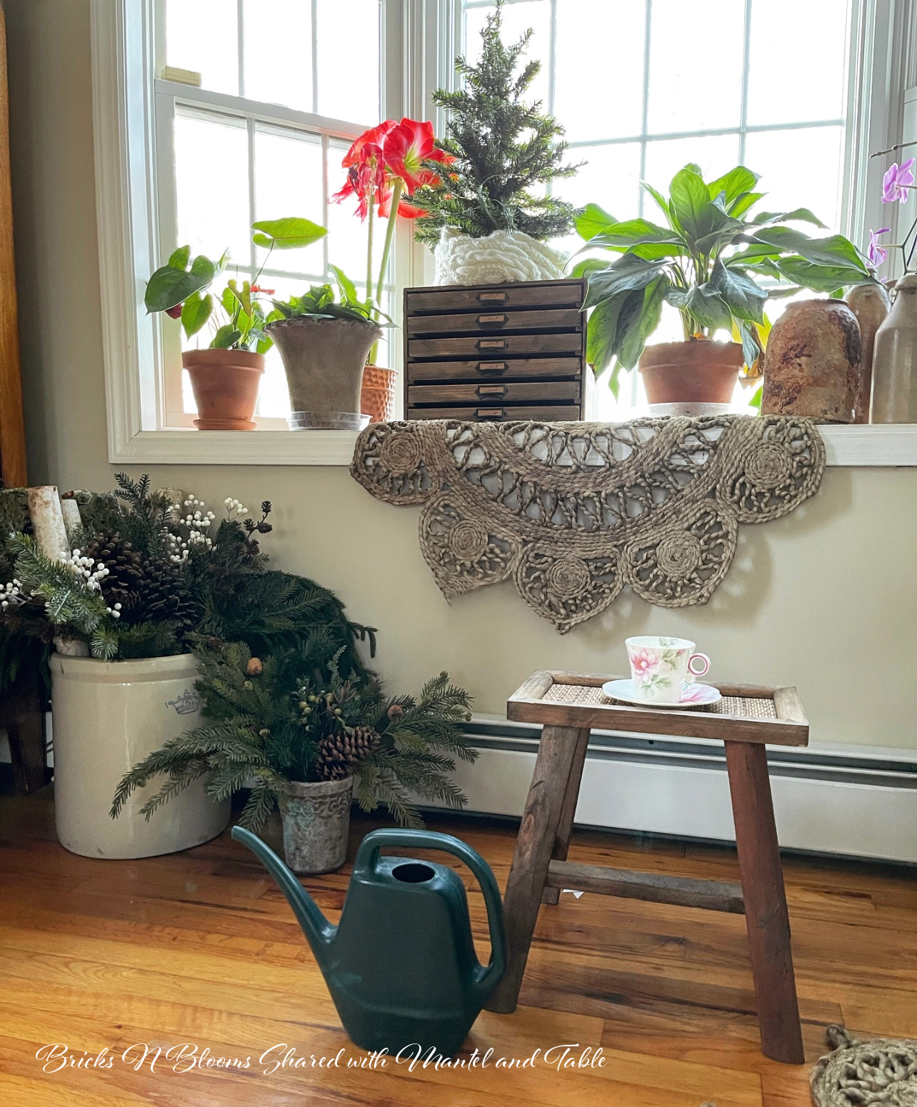Teacup on a wooden stool in alcove with several houseplants