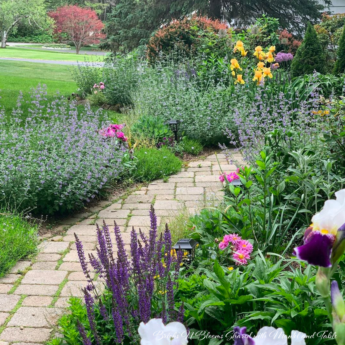 Beautiful cottage garden with brick path through it