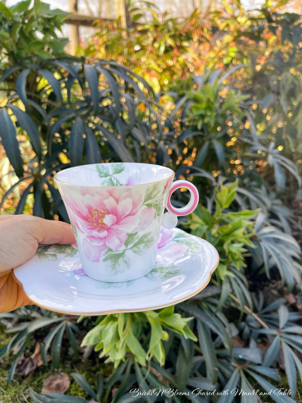 HIgh tea - teacup held in front of a blooming plant in a garden